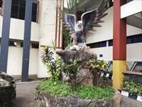 Program Reguler Manado Nomor Foto Home 1